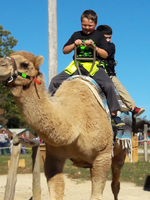 3rd Grade Visits Critter Lane