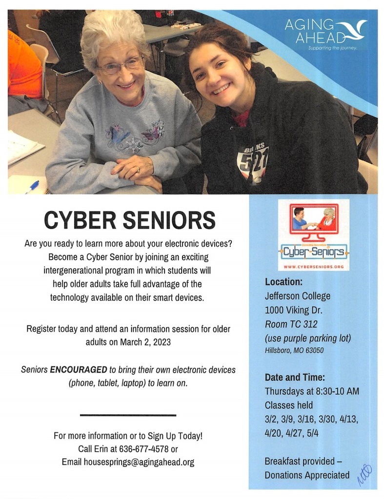 cyber seniors